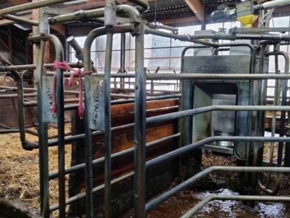 Bild 4:Schauer Kraftfutterstation