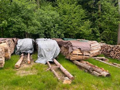 Brennholz Esche