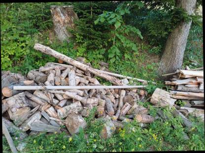 Bild 2:Brennholz