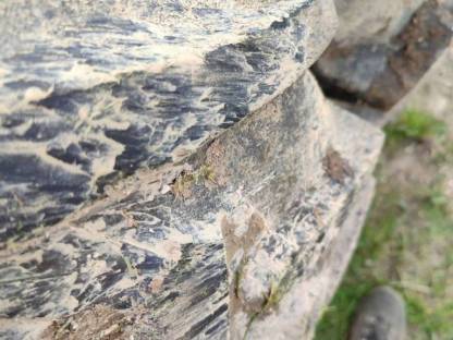 Bild 4:Zwillingsreifen 1 Stk. 270/95 R48