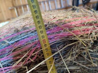 Bild 7:Heu Bzk. Voitsberg