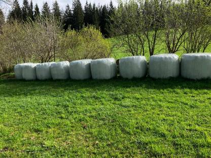 Silageballen/Heulageballen
