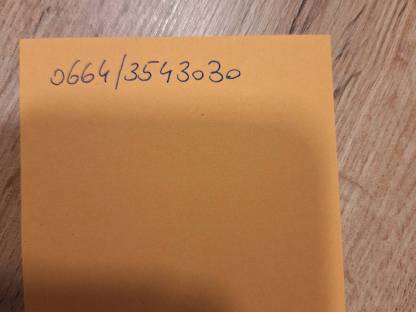 Bild 2:FVxWBB Stiere