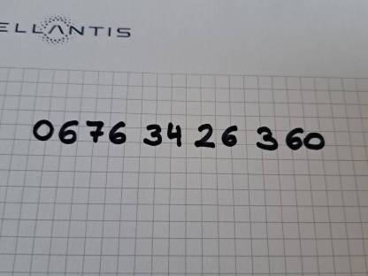 Bild 7:Ballenwagen, Ballenanhänger