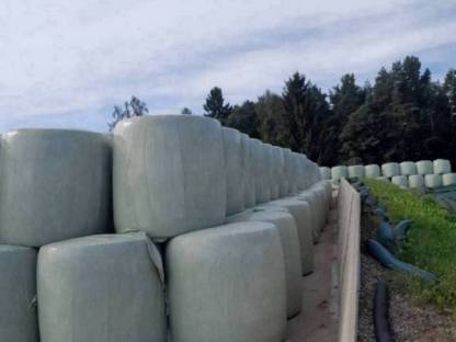 Bild 3:Silomaisballen 2025