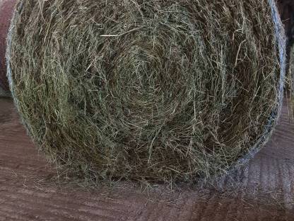 Schöne Heurundballen