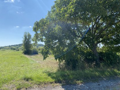 Bild 2:Ackerland/Landwirtschaftl. Nutzgrund 6.776 m² bei Eisenstadt