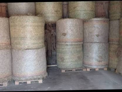 Bild 6:Heu Rundballen