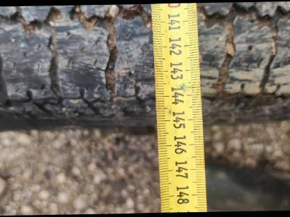 Bild 6:Traktoranhänger