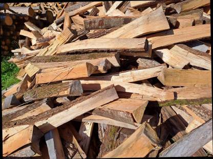 Bild 2:Brennholz