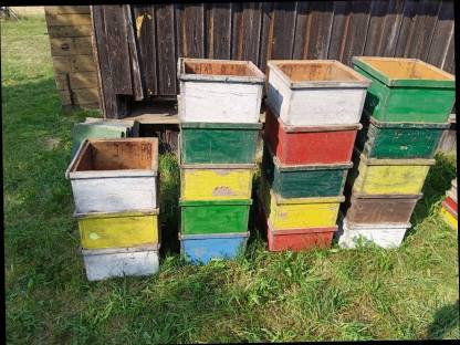 Bild 2:Verkaufe Bienenstöcke Bienenstock