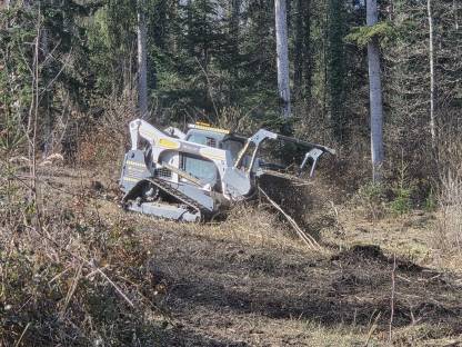 Bild 6:Forstmulcher und Renaturierung vom Profi