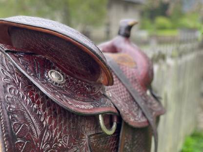 Bild 3:Westernsattel