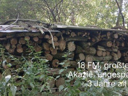 Bild 5:Verkaufe Brennholz