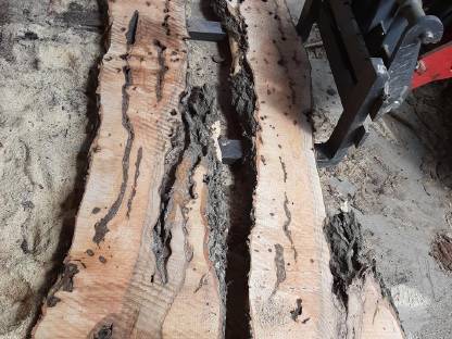 Bild 5:Esche Pfosten