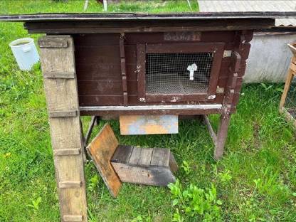 Bild 2:2 Meerschweinchen mit Stall