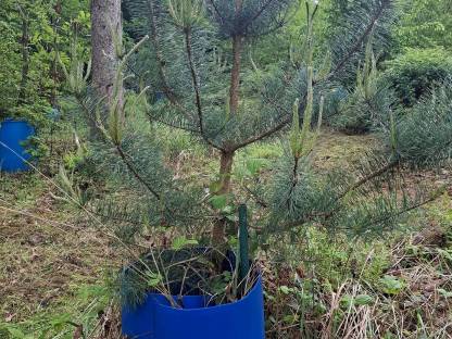 Bild 2:Wasser-Tonnen