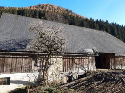 Stadl, Stall, Altholz, Gebäude, Abbau, Abriß
