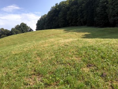 Bild 2:2 Hektar Weidefläche für Schafe