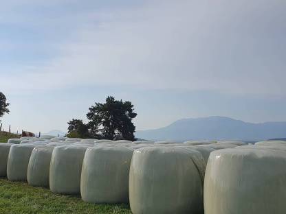 Bild 2:Maissilageballen