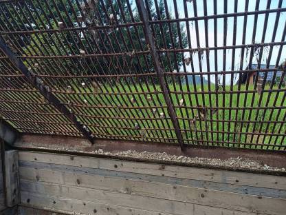 Bild 2:Vermiete Schottersieb Wurfsieb 0-32 für Radlader