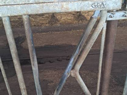 Bild 2:Selbstfangfressgitter, Liegeboxen