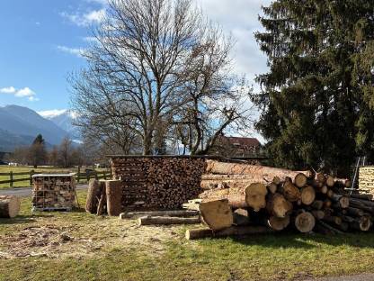 Bild 2:Brennholz