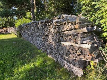 Brennholz Buche