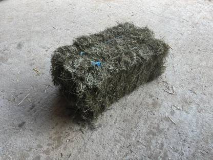 Bild 4:Kleinheuballen