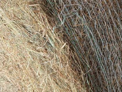 Bild 3:Biodiversitäts-Heuballen