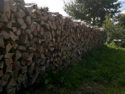 Buchenbrennholz