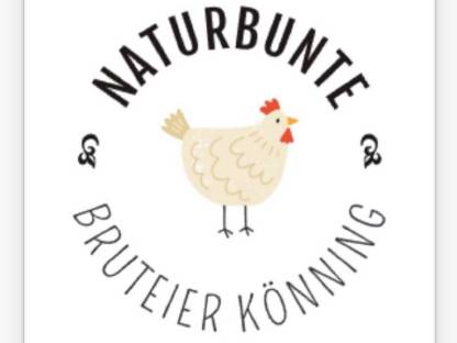 Bild 6:Bunte Bruteier 10 + 2 Gratis € 17,- Easteregger Eier