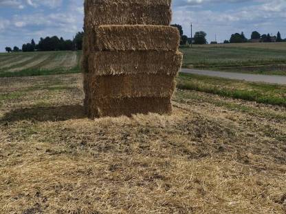 Bild 5:Stroh / Strohballen