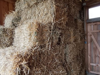 Bild 2:Strohballen, Kleinballen