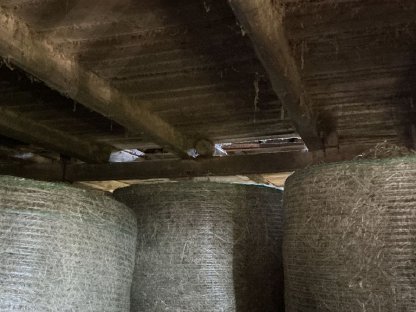 Bild 3:Heu 1. und 2. Schnitt