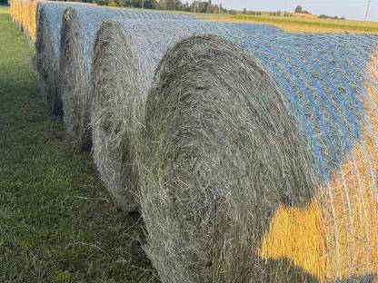 Bild 2:Bio Heu, Grummet, Heu, 2025