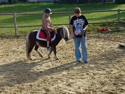 Bild 4:Pony Reitbeteiligung