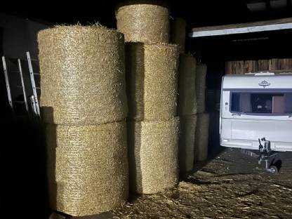 Bild 7:Maissilageballen