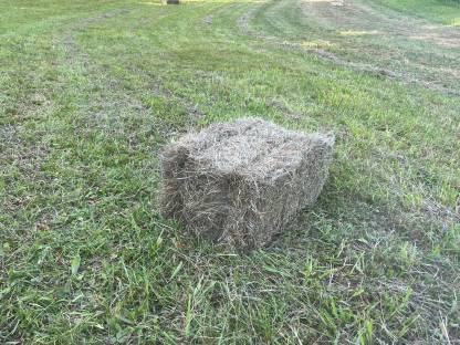 Bild 2:Kleinheuballen