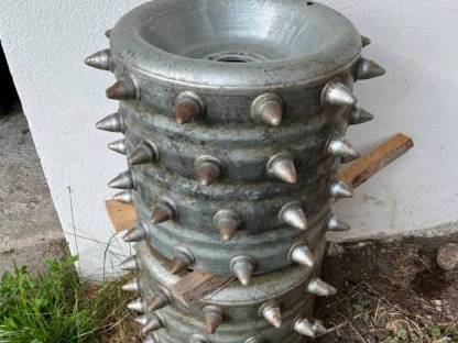 Stachelwalzen