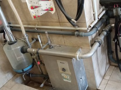 Bild 6:Melkstand 5er Side by Side