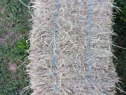 Bild 3:Heu 1 Schnitt