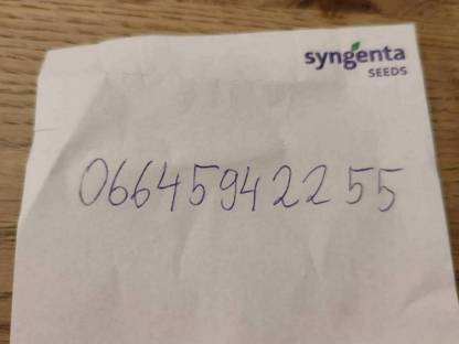 Bild 6:Kleine Saatbettkombination Regent