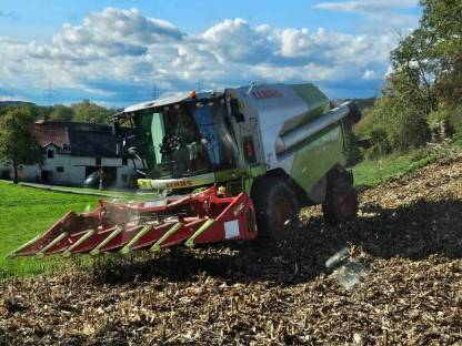 Lohndreschen Claas Tucano 430