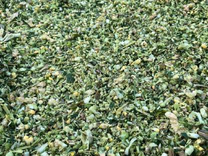 Bild 4:Maisballen 2025