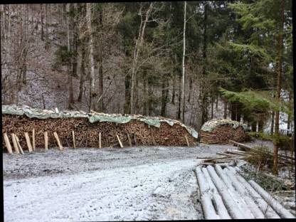 Bild 4:Brennholz