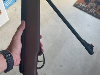 Bild 4:Luftdruckgewehr, Federdruck, Holzdesign