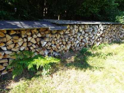 Bild 3:Brennholz
