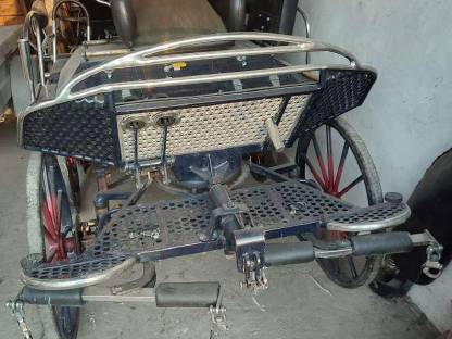 Bild 2:Marathonwagen und Dressurkutsche