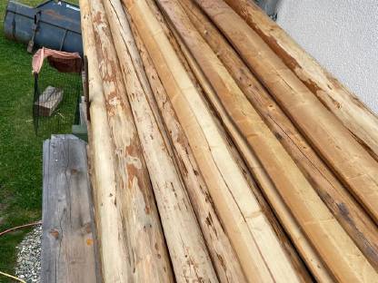 Bild 2:Fichten Stangen